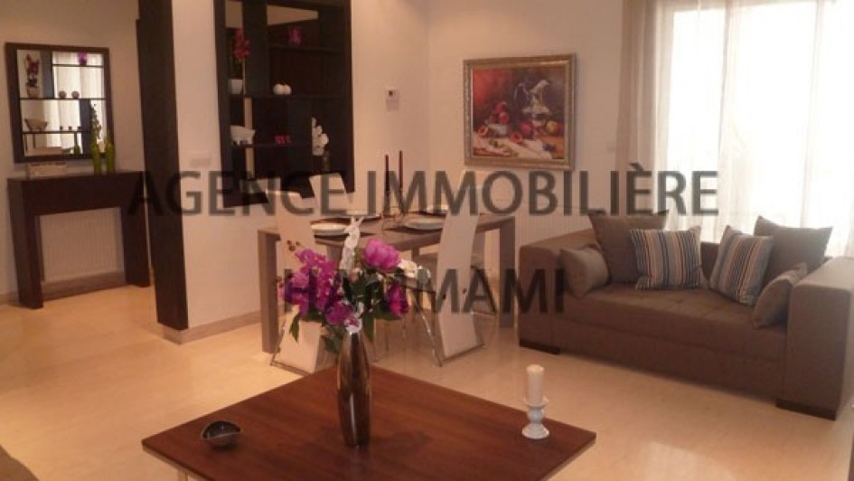 Location Appartement Meuble La Marsa Tunis Tunisie